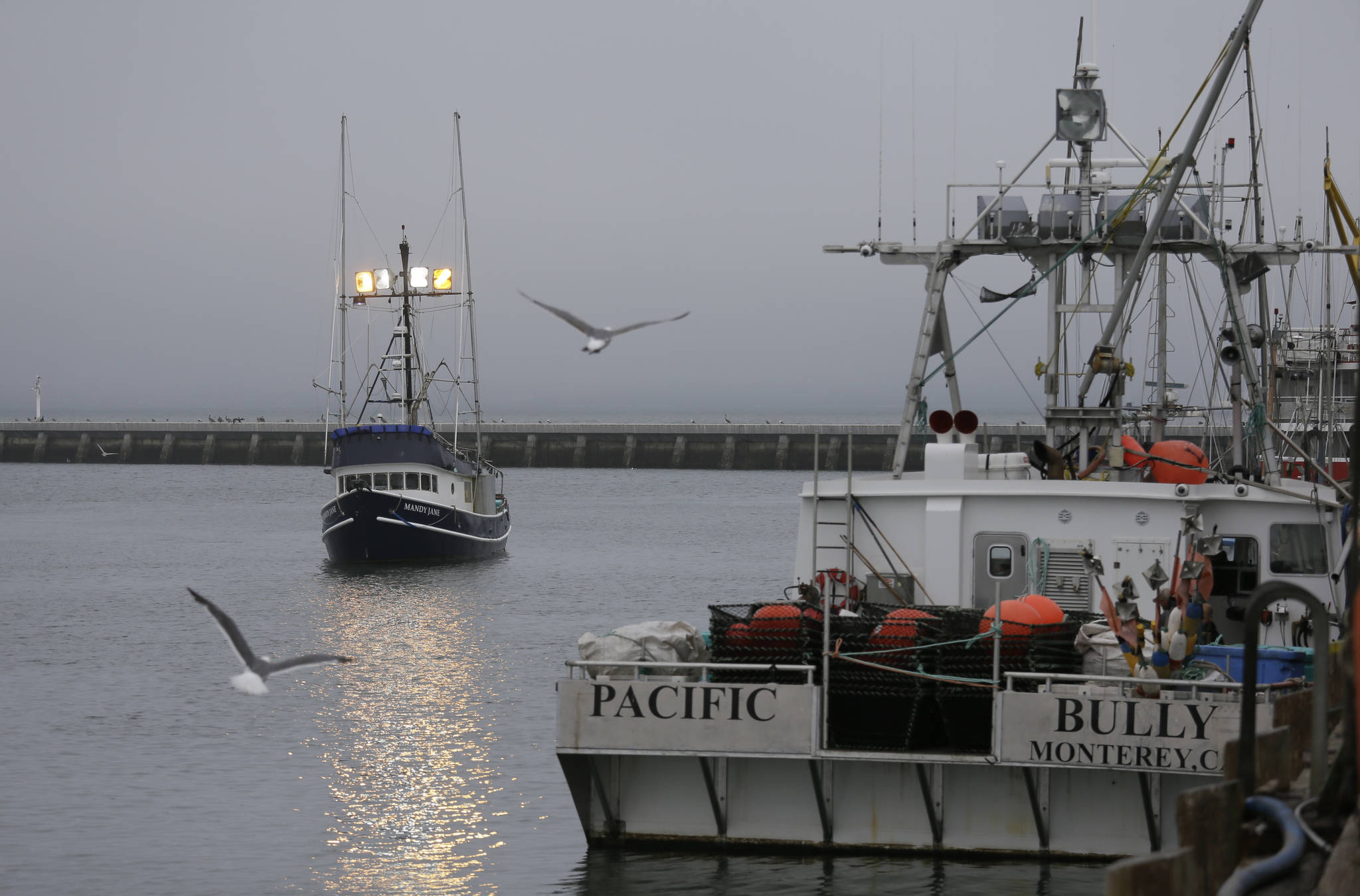 In this photo taken Monday, July 22, 2019, a boat with chinook salmon makes its way to Fisherman’s Wharf to unload its catch in San Francisco. California fishermen are reporting one of the best salmon fishing seasons in more than a decade, thanks to heavy rain and snow that ended the state’s historic drought. It’s a sharp reversal for chinook salmon, also known as king salmon, an iconic fish that helps sustain many Pacific Coast fishing communities.(AP Photo/Eric Risberg)