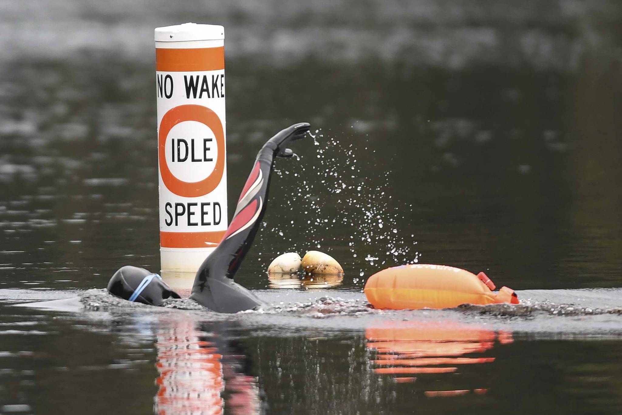 A swimmer passes a speed buoy in Auke Lake on Wednesday, June 5, 2019. (Michael Penn | Juneau Empire)