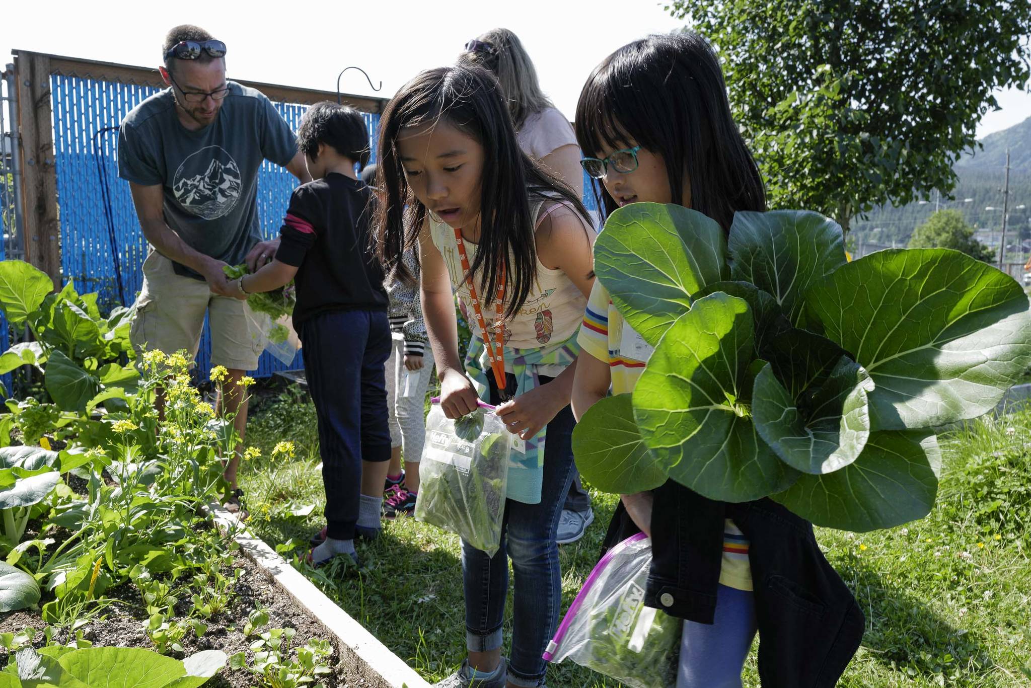 Elyzsa Sapinoso, left, and Emery Marte look at the garden as Master gardener Joel Bos helps student harvest plants in the Farm to School program at Harborview Elementary School on Wednesday, June 26, 2019. (Michael Penn | Juneau Empire)