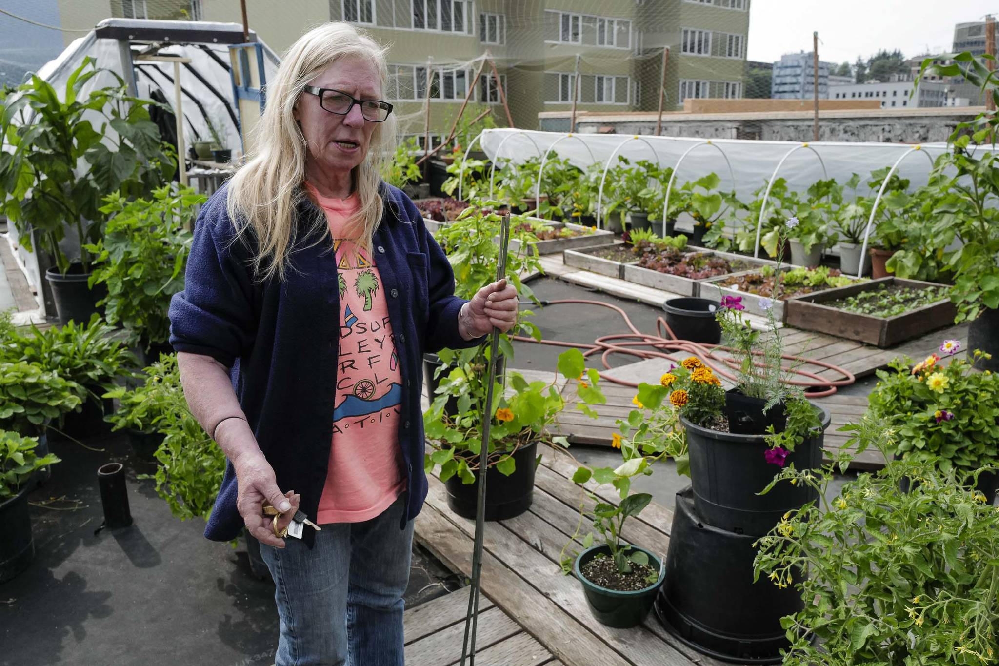 Judy Mauermann, a resident of the Glory Hall, gives a tour of the roof top garden she tends at the downtown soup kitchen and emergency shelter on Friday, Aug. 2, 2019. The produce is used daily in meals to feed patrons. (Michael Penn | Juneau Empire)