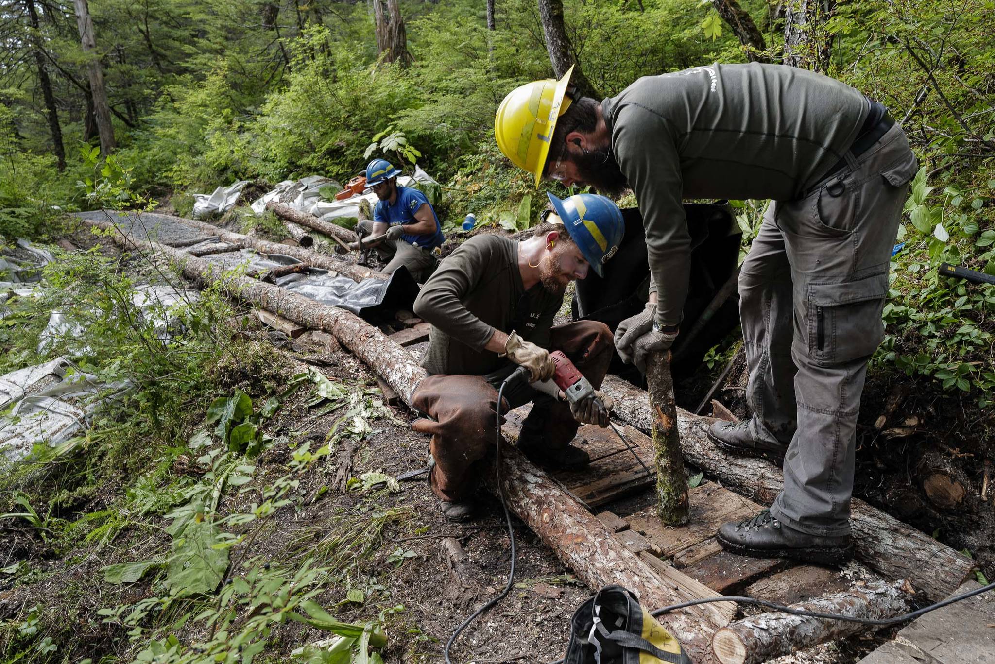 Andres Velez, left, Jase Tweedy, center, and Lou Eney work on the Auke Nu Trail on the way to the John Muir Cabin on Wednesday, Aug. 7, 2019. (Michael Penn | Juneau Empire)