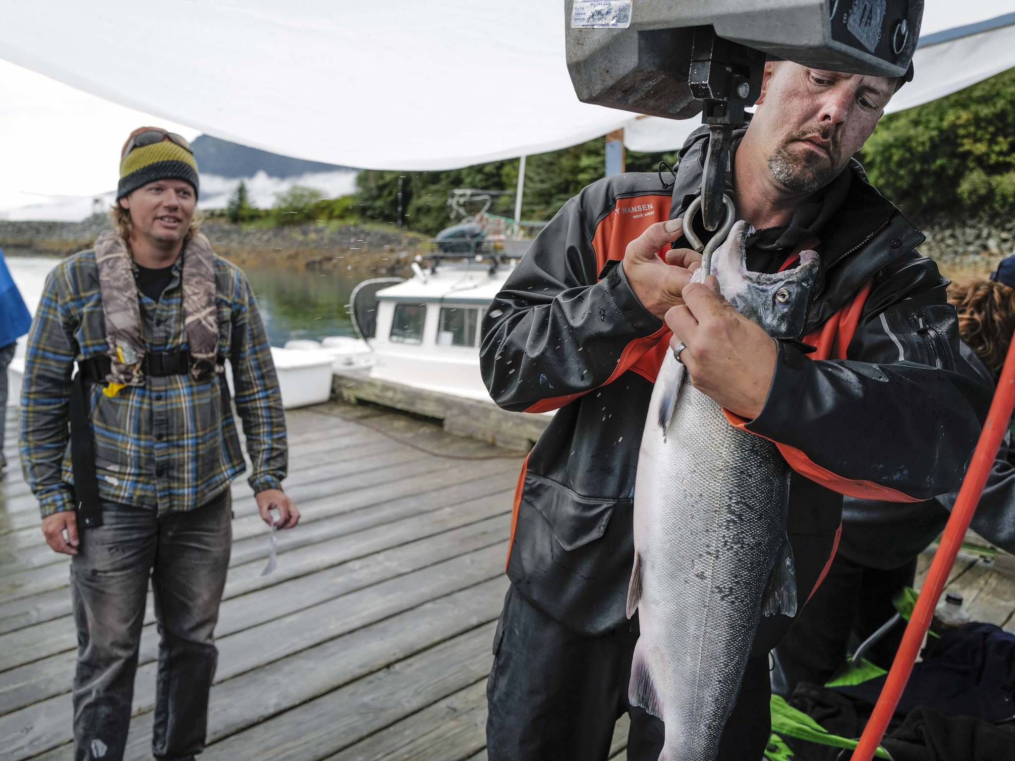 Nathan Wilson, left, watches volunteer Jonathan Gunstrom weigh his coho at the Mike Pusich Douglas Harbor’s Golden North Salmon Derby station on Friday, Aug. 23, 2019. The fish was in the 10 pound range. (Michael Penn | Juneau Empire)