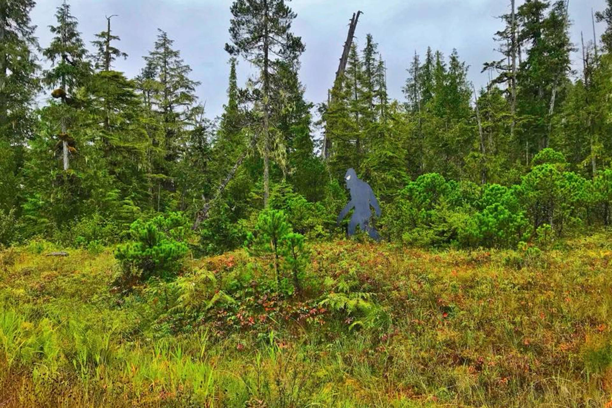 A wooden Big Foot sculpture peers from the distance in Wrangell. (Vivian Faith Prescott | For the Capital City Weekly)