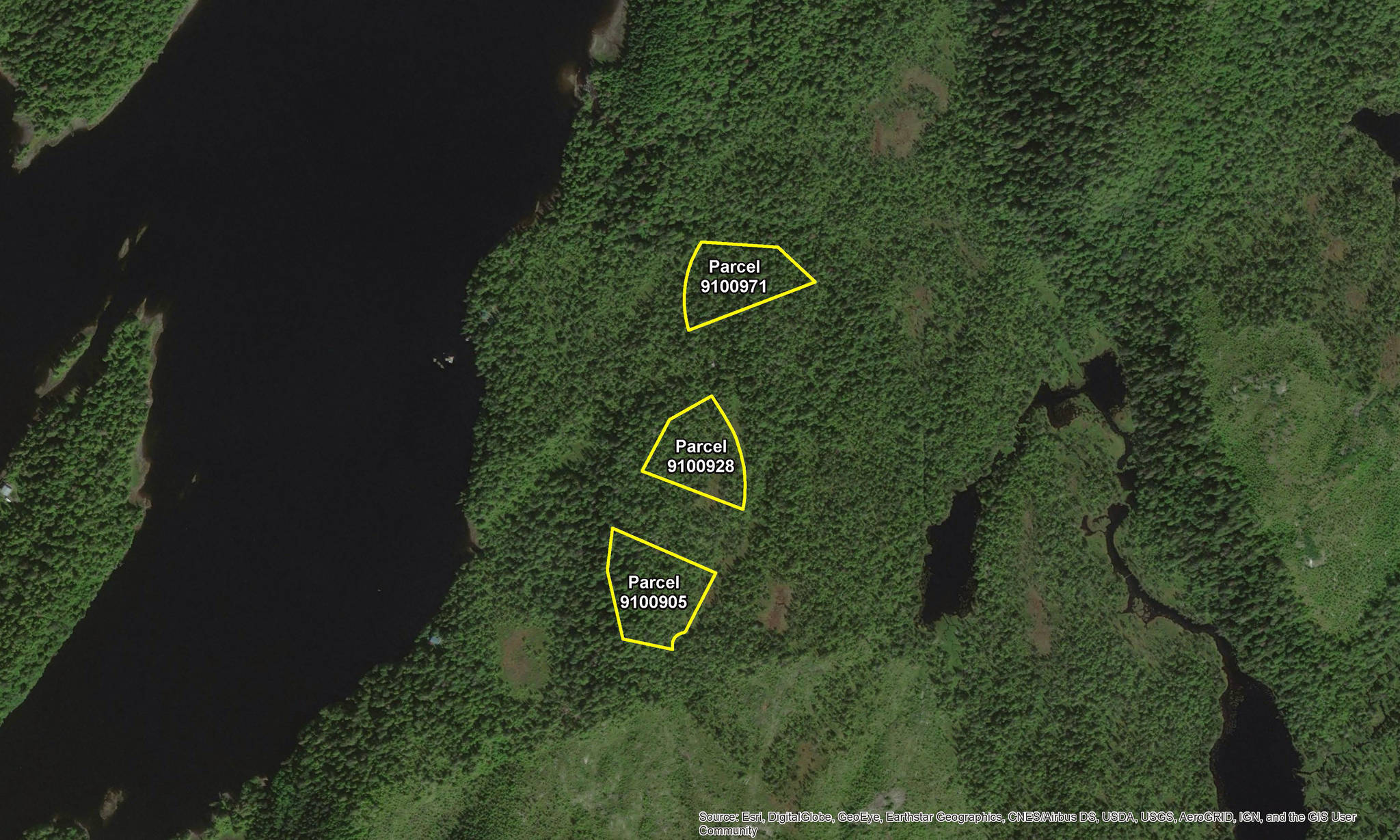 A photo from the Alaska Mental Health Trust Authority website showing an aerial view of the parcels of land for sale during the Fall Land Sale near the Upper George Inlet northwest of Ketchikan. (Courtesy photo)