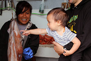Kim Uddipa Mork and Mitch Mork show their son, Owen Mork, their octopus catch. (Courtesy Photo | Mitch Mork.)
