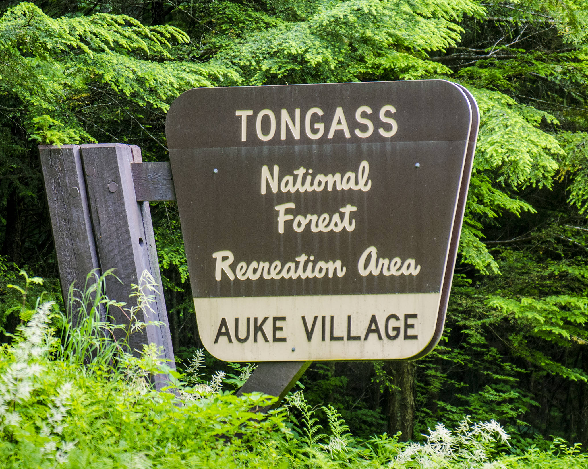 The Tongass National Forest sign sits near the Auke Village Recreation Area. (Juneau Empire File)