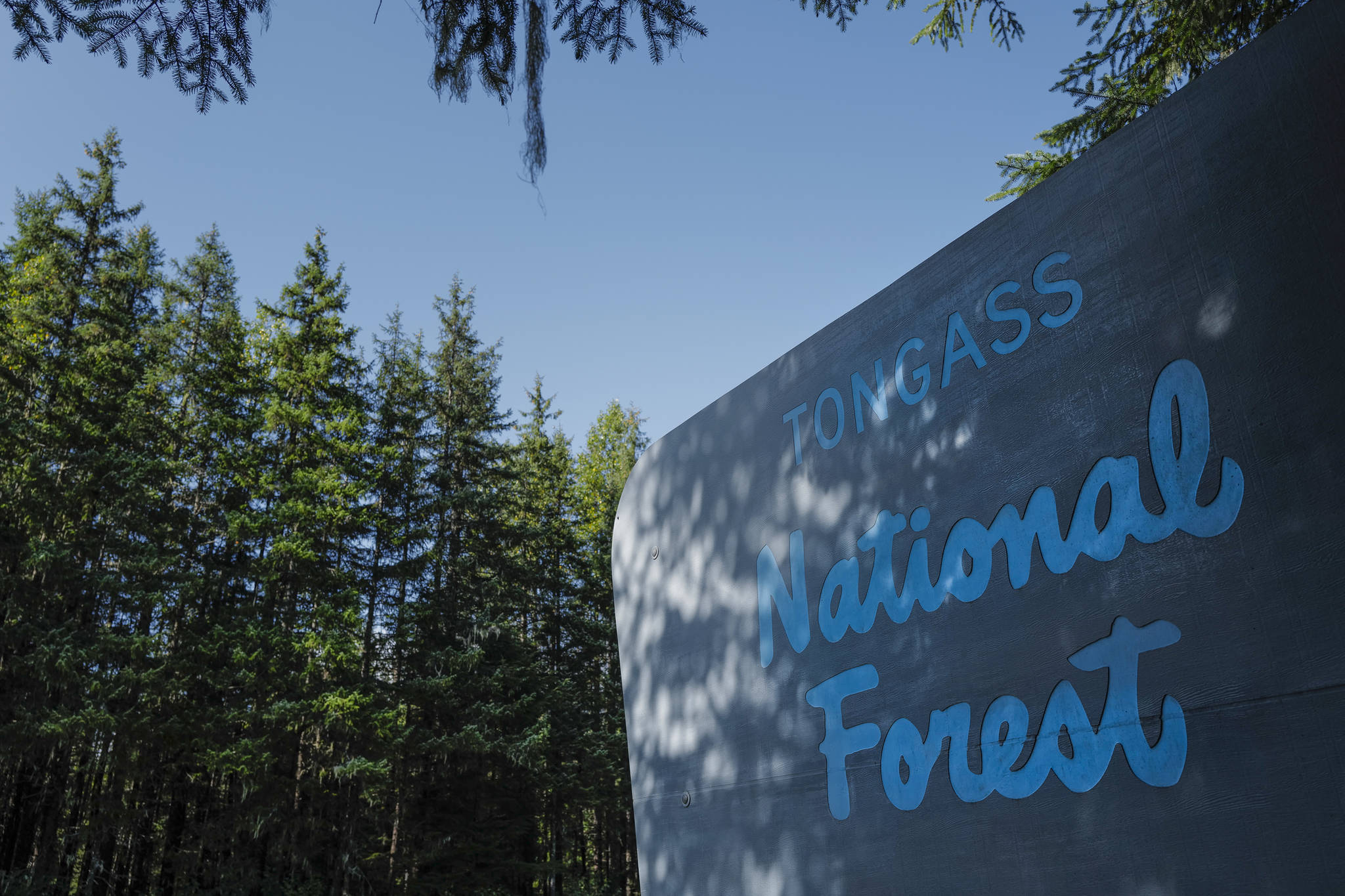 The Tongass National Forest sign on the way to the Mendenhall Glacier Visitor Center on Wednesday, Aug. 28, 2019. (Michael Penn | Juneau Empire)