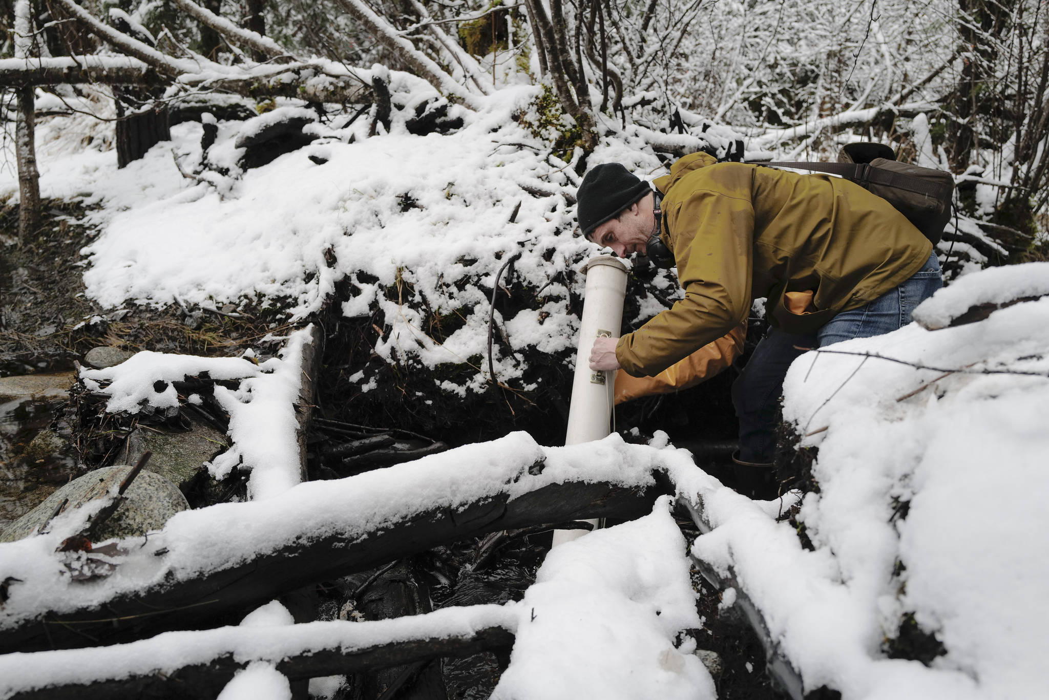 Jake Musslewhite, a fisheries biologist with the U.S. Forest Service, searches for a radio tag used in a study tracking adult coho salmon in the Dredge Lakes drainage system. (Michael Penn | Juneau Empire)