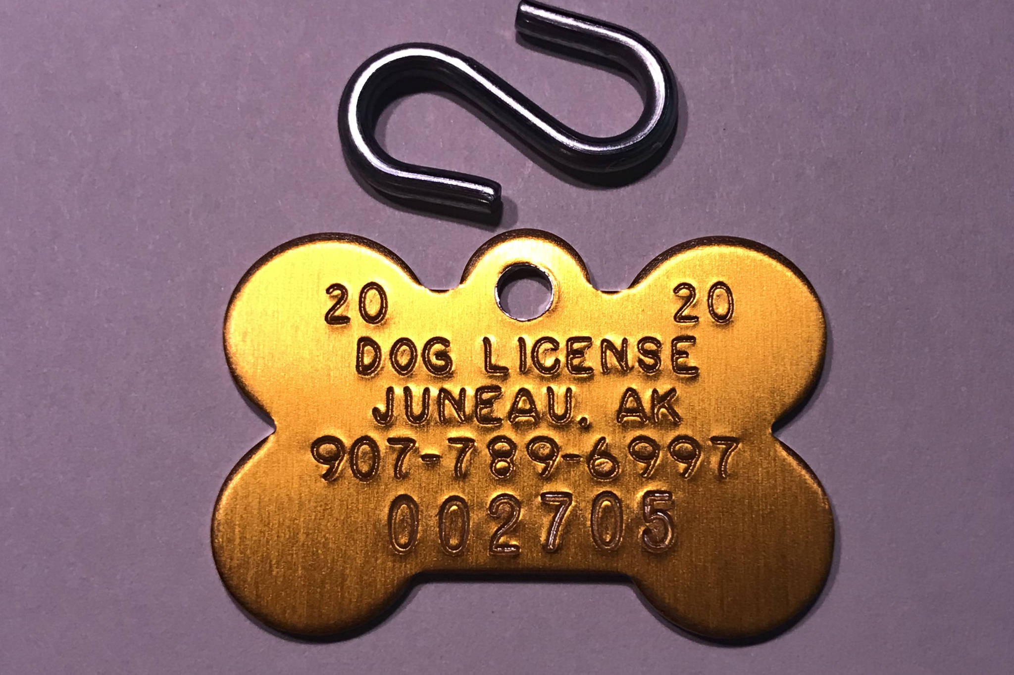 This bone-shaped license will identify dogs licensed in Juneau in 2020. While licensing is required by City and Borough of Juneau ordinance, it’s estimated that only about half of dogs in Juneau are licensed. (Courtesy Photo | Juneau Animal Rescue)