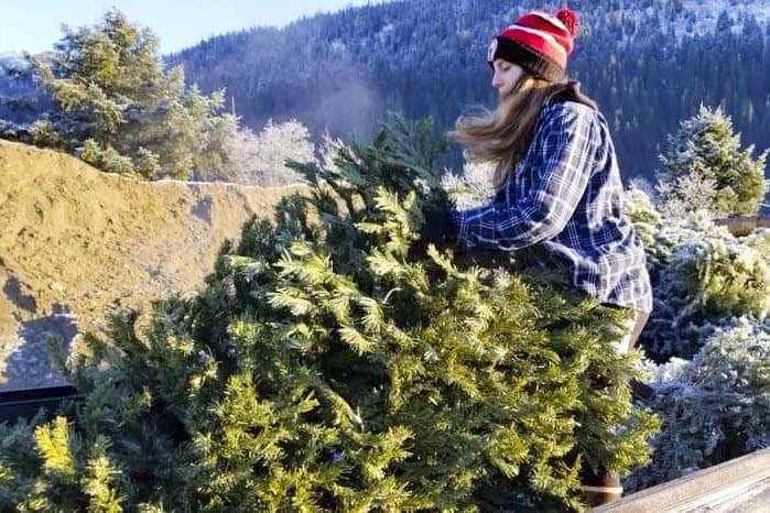 Natalie Zimmerman, a senior at Juneau-Douglas High School: Yadaa.at Kalé and member of the cheer team, tosses out a dead Christmas tree as part of a fundraiser for the team during 2019. (Natalie Zimmerman | Courtesy photo)