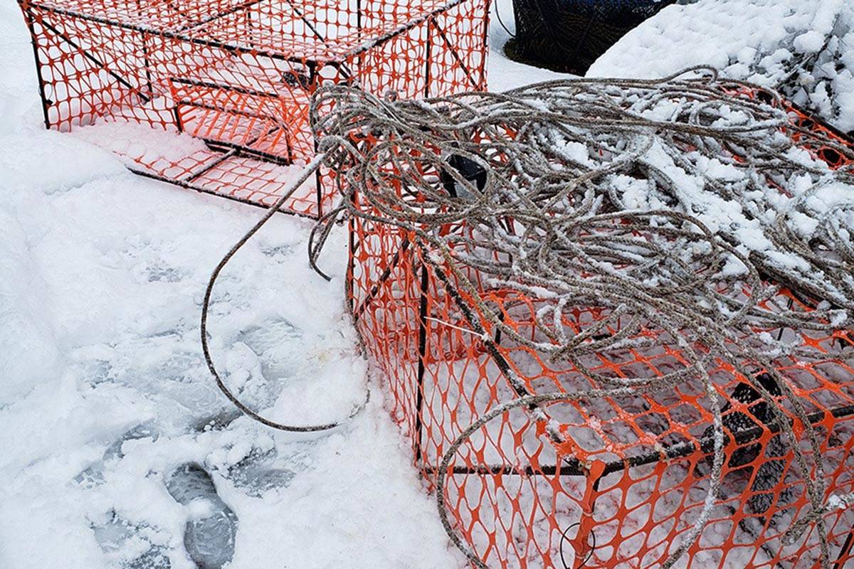 Alaska Wildlife Troopers are searching for an illegal crabber near Auke Bay after at least two illegal, homemade crab pots were discovered. (Courtesy Photo | Alaska State Troopers)