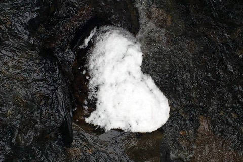 A snow-shaped heart appears on a rock in Paris Creek, Douglas, on Valentine’s Day, Feb. 14. (Courtesy photos | Sandy R. Williams)