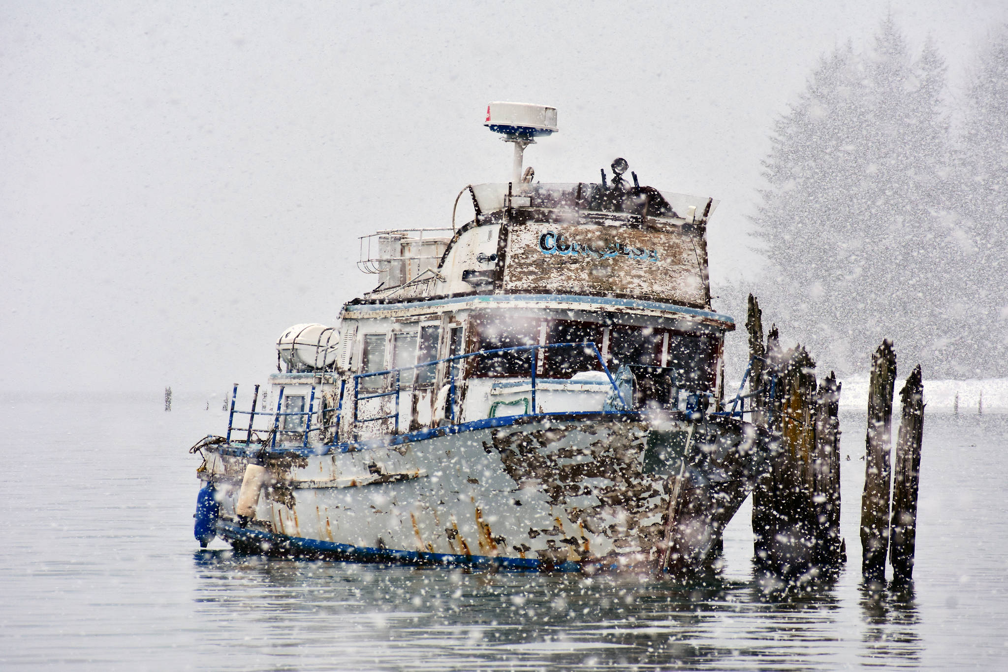 Peter Segall | Juneau Empire                                 The vessel was grounded to clear a fouled propeller at Sandy Beach on Sunday.