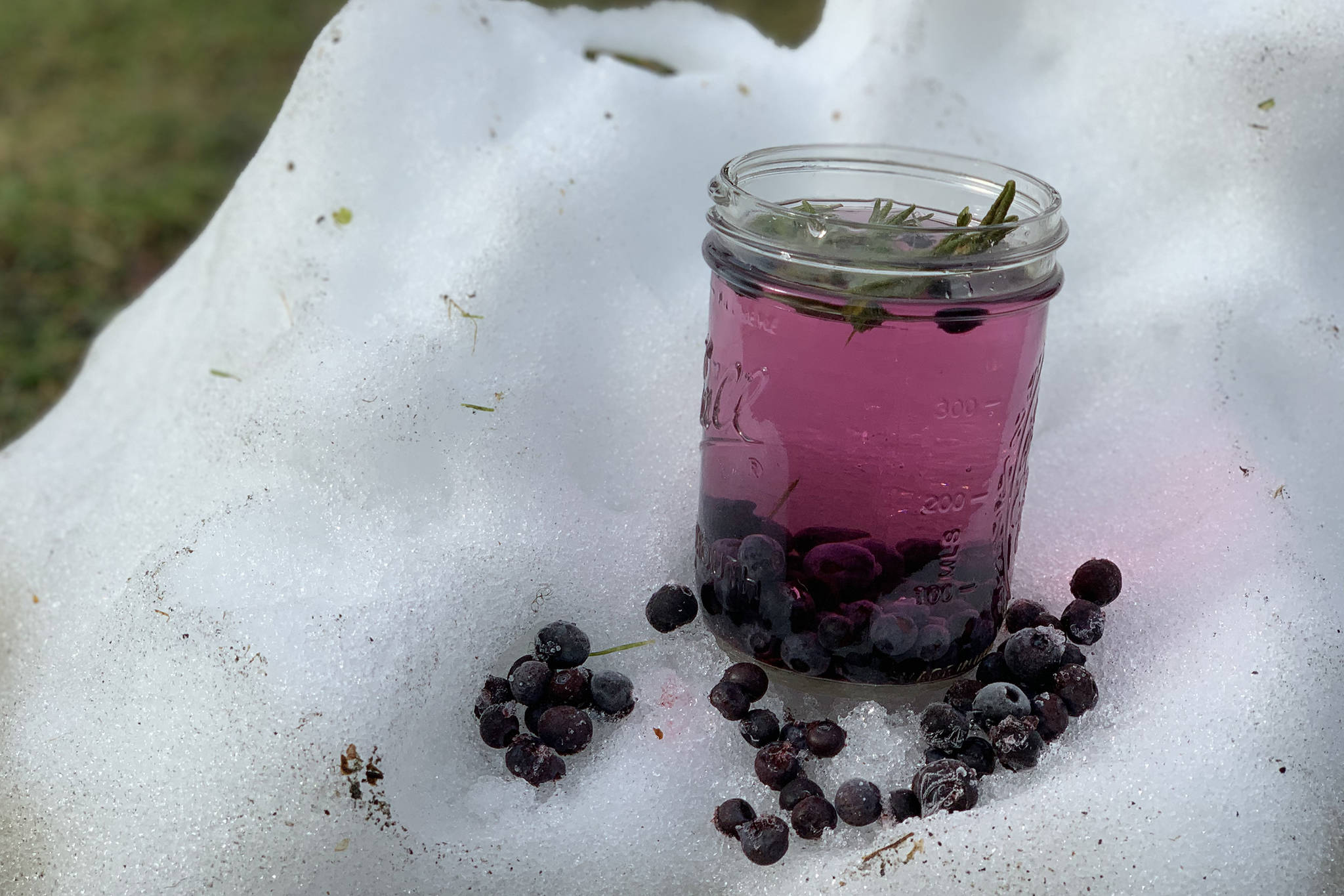 Planet Alaska: Berries are a perfect cure for the winter blues