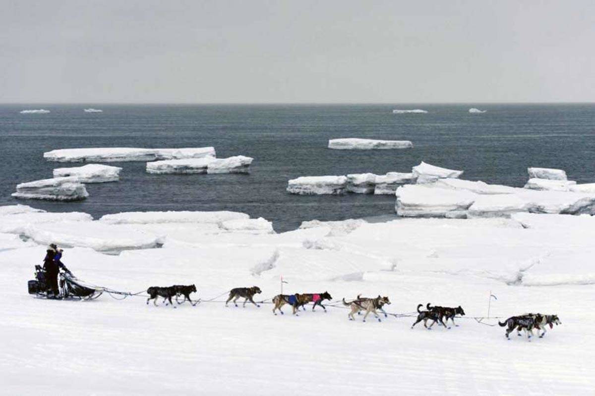 Arctic researcher says climate change is coming