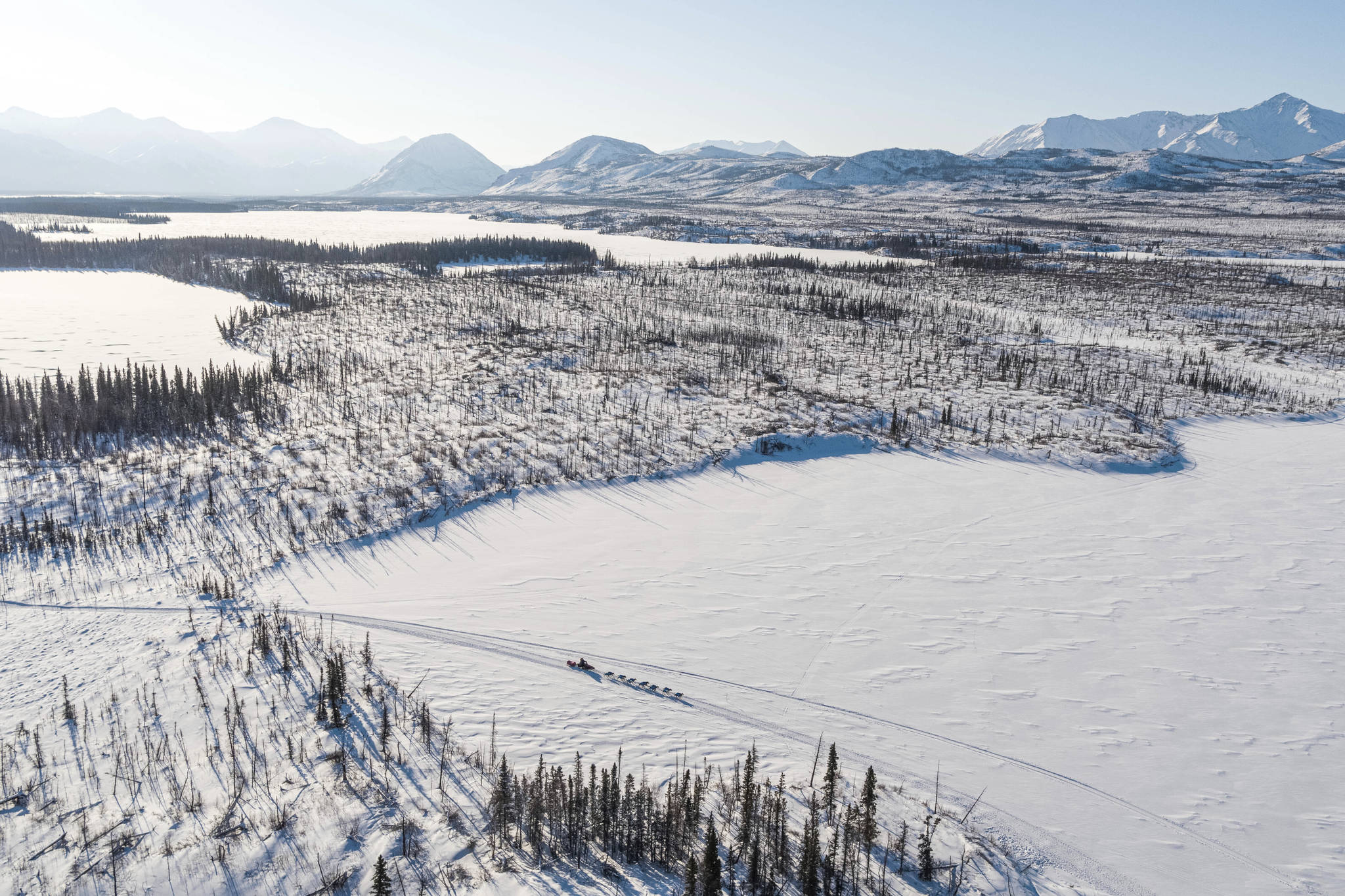 Linwood Fiedler mushes across Submarine Lake near Nikolai, Alaska, Tuesday, March 10, 2020, during the Iditarod Trail Sled Dog Race. (AP Photo | Loren Holmes)