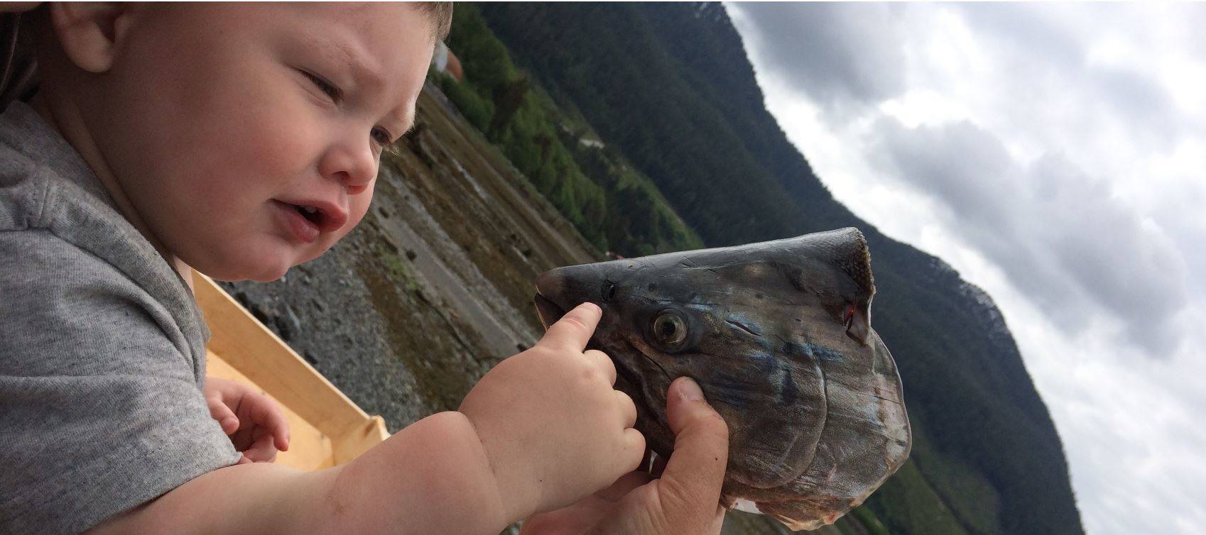 Vivian Faith Prescott | For the Capital City Weekly                                 Grandson Jonah Hurst examines a salmon head.
