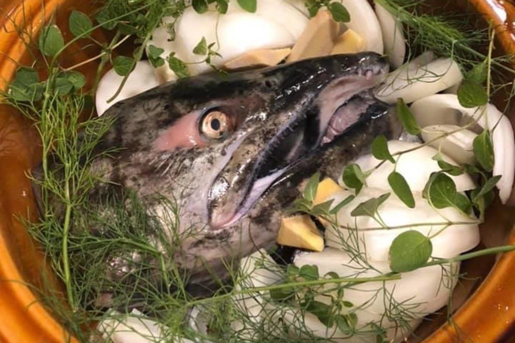 Can Dogs Eat Salmon Heads