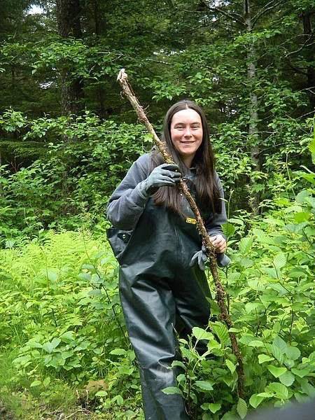 Vivian Mork teaches harvesting of devil’s club in Wrangell years ago. ( Vivian Mork | For the Capital City Weekly)