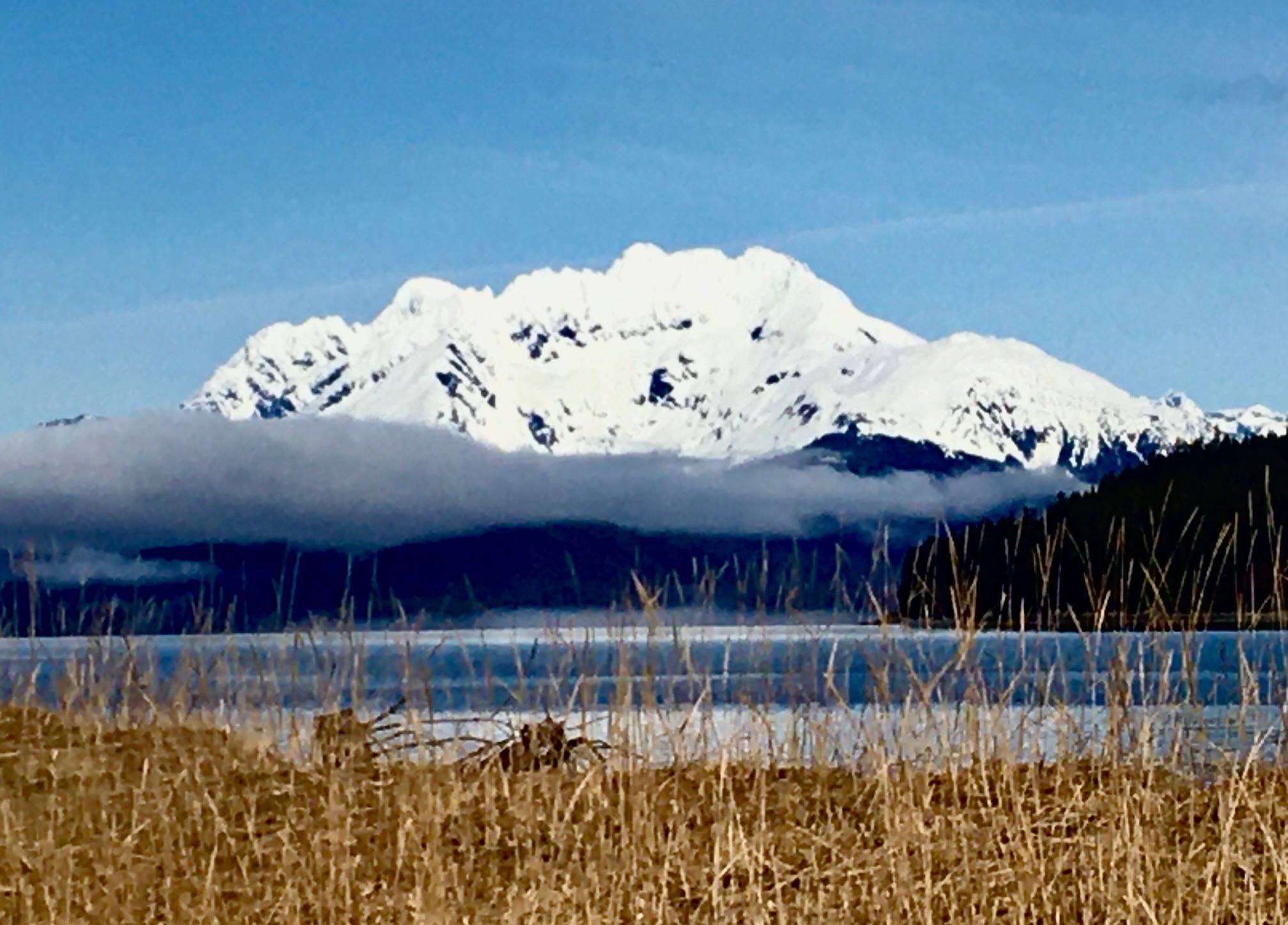 Lion’s Head mountain looms above a thick morning fog bank as seen from Echo Cove on April 17, 2020. (Courtesy Photo | Denise Carroll)