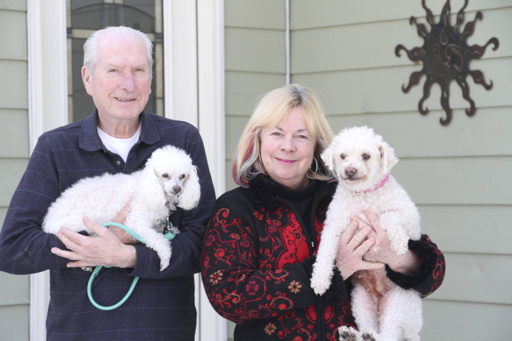 In this March 26, 2020, photo, Ron Offret poses with their dog Suzie while his wife Ina Pizzolato Offret is shown with Kelsey, a dog they are fostering at their home in Anchorage, Alaska. Worried that the coronavirus outbreak would cause animal adoptions to plunge, shelters across the country put out the call for people to temporarily foster pets. (AP Photo/Mark Thiessen)