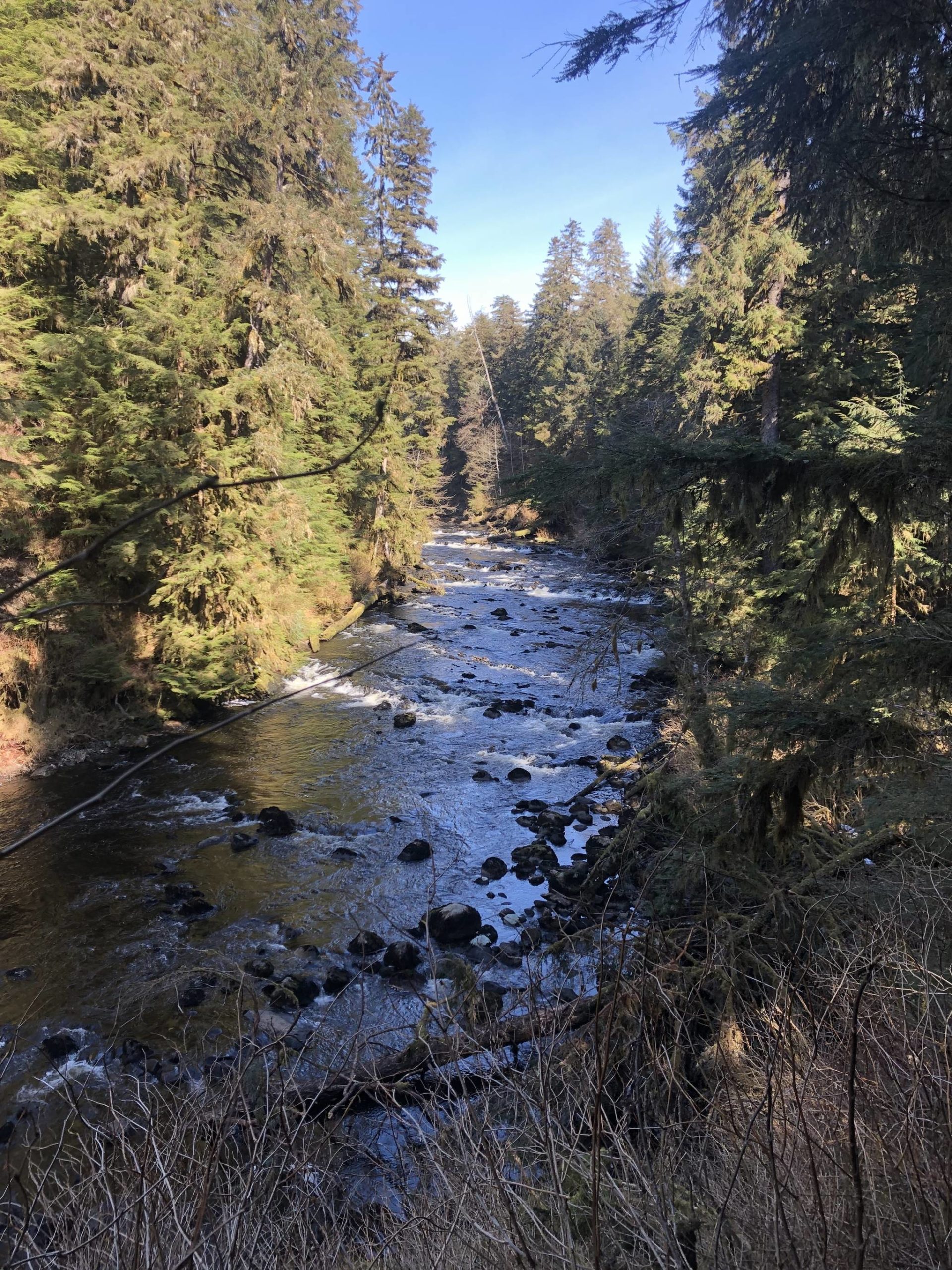 Complaining about a lost fish or low water in times like these is evidence that you probably have it better than most and should act accordingly. (Jeff Lund | For the Juneau Empire)