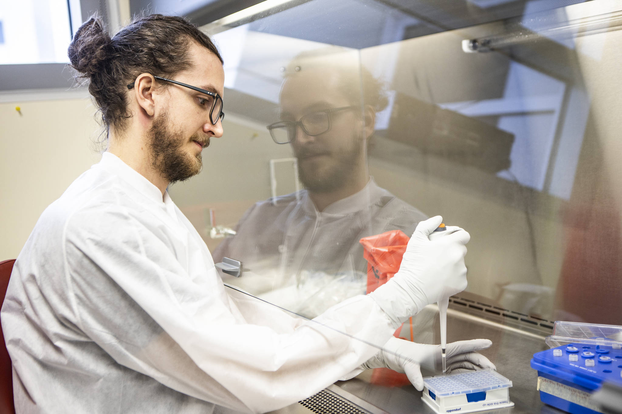 Kyle Dilliplaine pipettes master mix into trays at the Alaska State Virology Lab located at the Fairbanks campus. The master mix contains an enzyme that helps with the amplification process.(Courtesy Photo | JR Ancheta, University of Alaska Fairbanks)