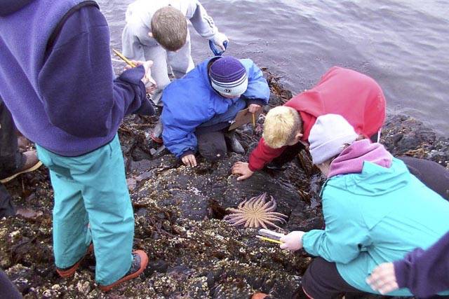 Courtesy Photo | Peggy Cowan                                Students study marine life during a past Sea Week, which is celebrating its 50th anniversary in the Juneau School District this year.