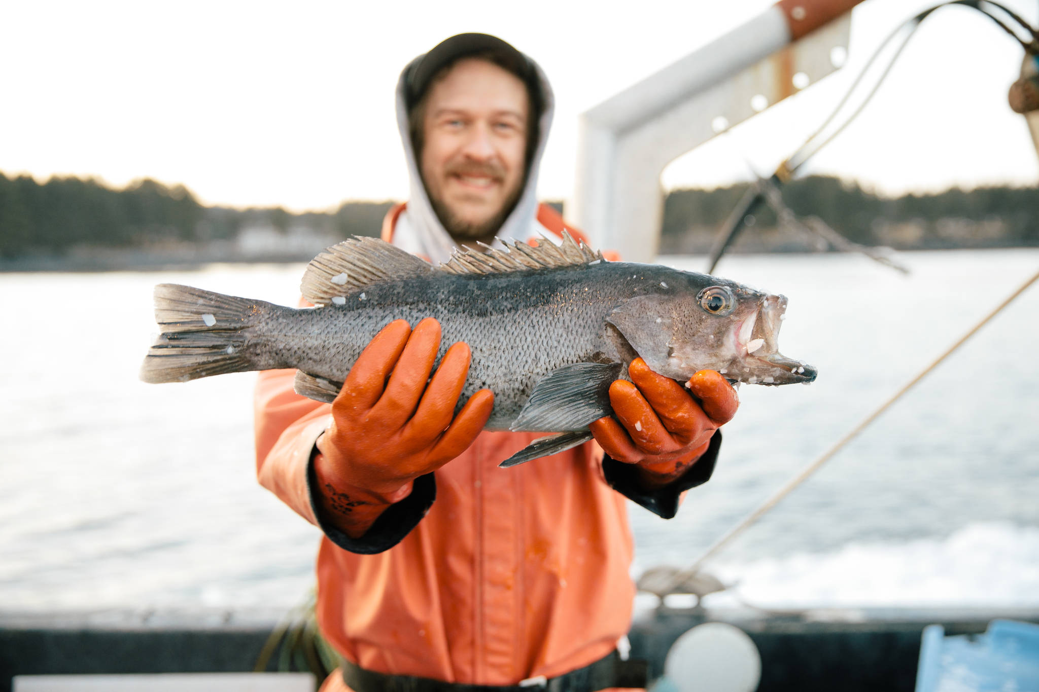 Courtesy Photo | Sitka Salmon Shares                                Sitka Salmon Shares fisherman-owner Ryan Horwath holds up a jig-caught black rockfish from Kodiak.