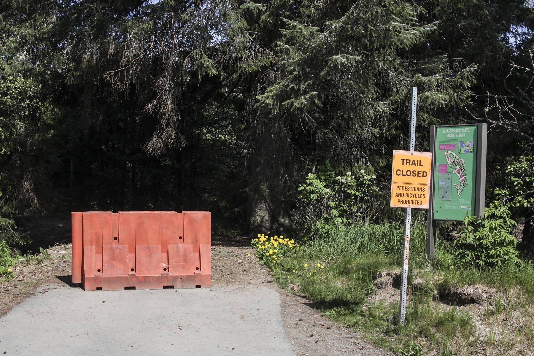 The old Kaxdigoowu Héen Dei (Brotherhood Bridge Trail) is closed to all traffic while replanting of local plants is going on, May 27, 2020. The trail has been moved, repaved, and reopened after riverbank erosion threatened the original trail. (Michael S. Lockett | Juneau Empire)
