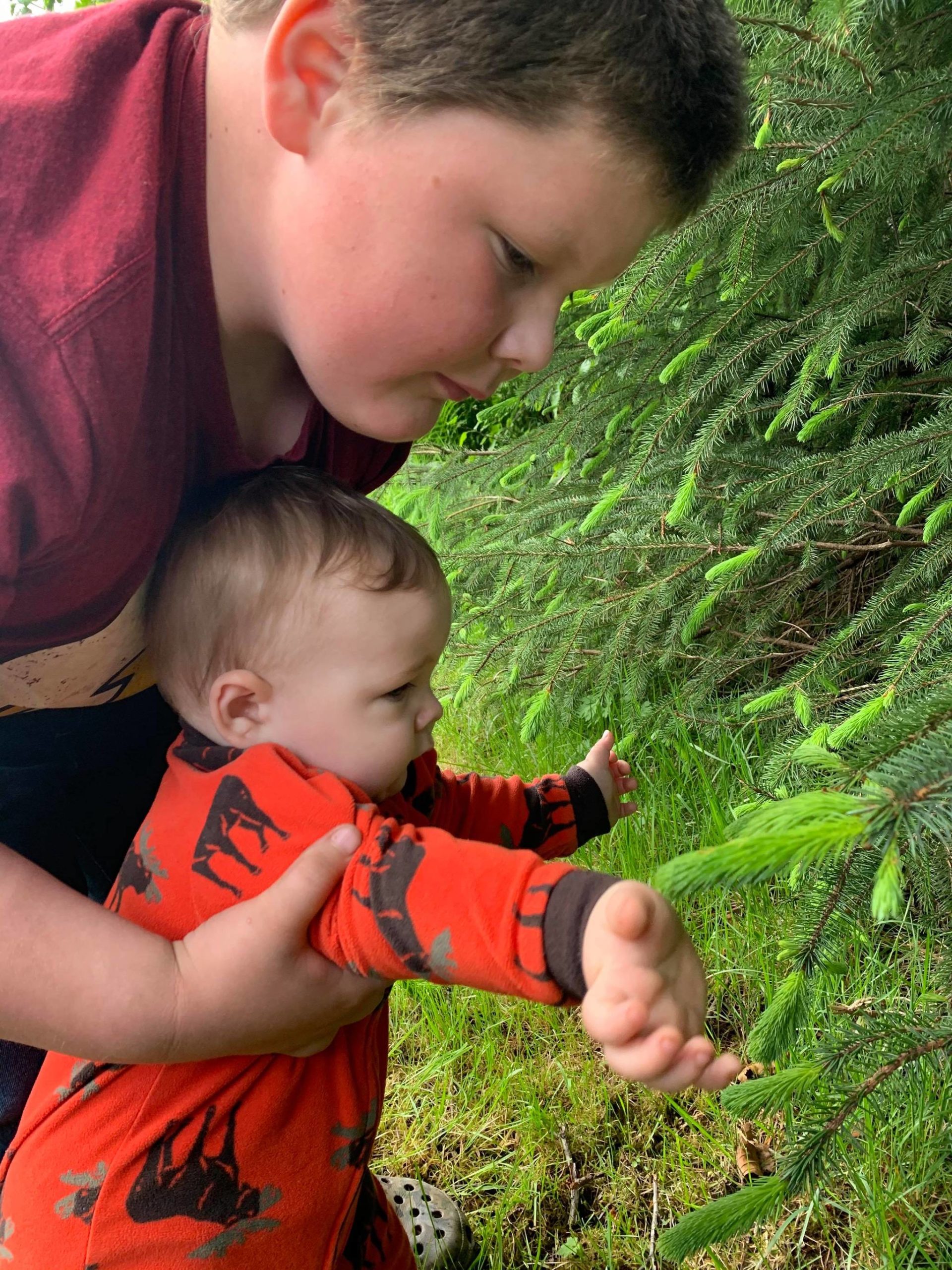 Jonah Hurst shows his little brother, Bear, how to pick spruce tips in Wrangell. Experiential, hands-on learning is an important part of Tlingit education and Nikka Mork is hoping the pandemic won’t stop people from passing on traditional knowledge. (Courtesy Photo | Nikka Mork)