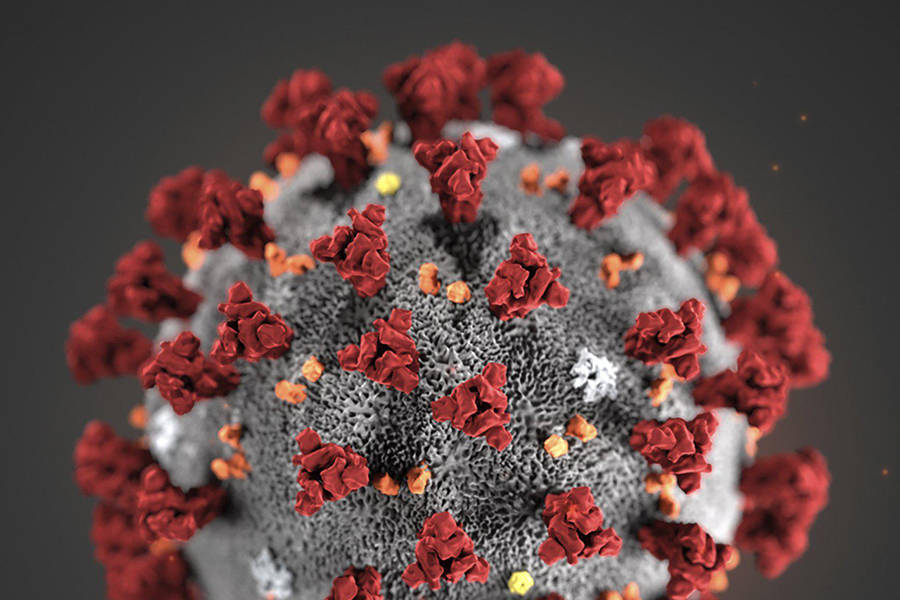 State reports 2 new coronavirus deaths