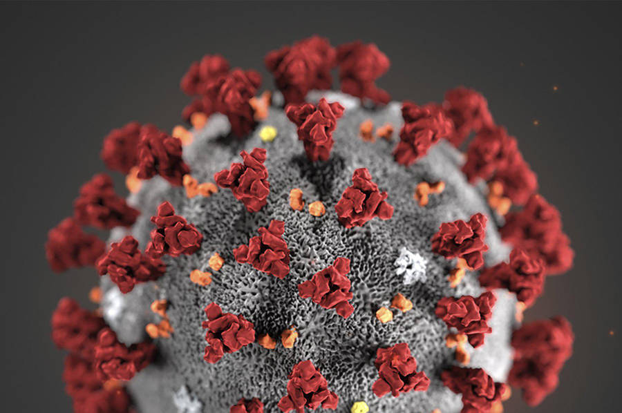 This illustration provided by the Centers for Disease Control and Prevention in January 2020 shows the 2019 Novel Coronavirus. This virus was identified as the cause of an outbreak of respiratory illness first detected in Wuhan, China.