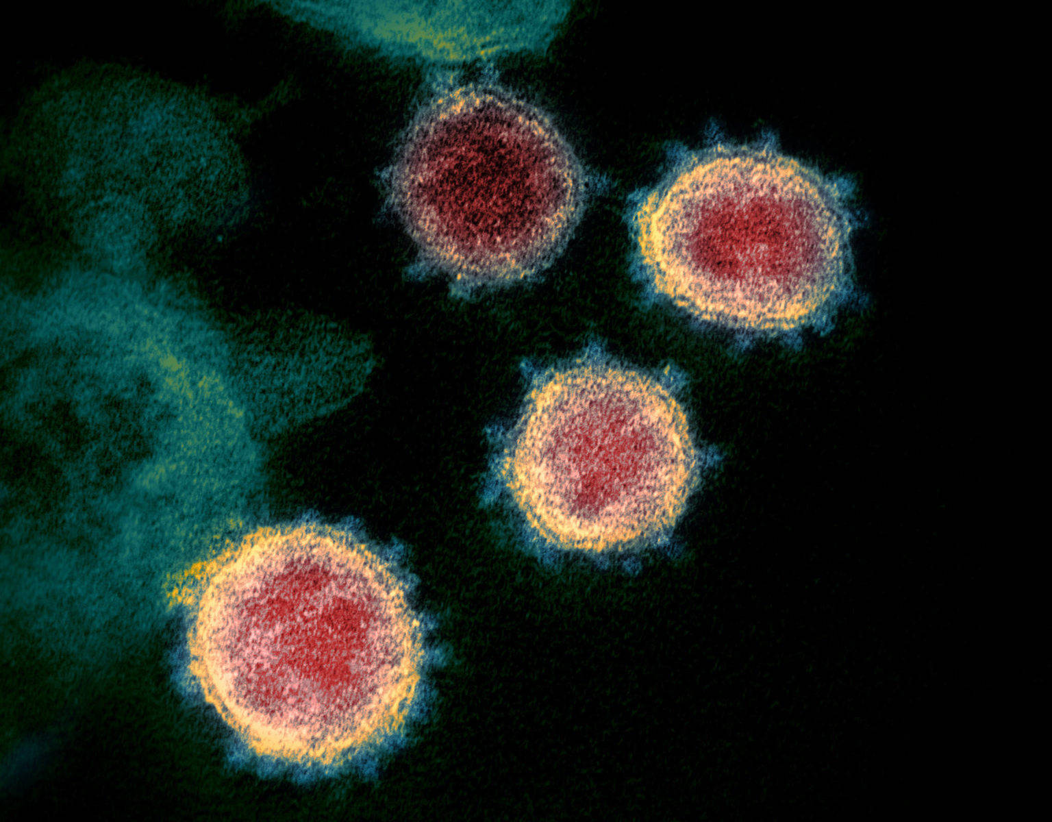 State counts 42 new coronavirus cases