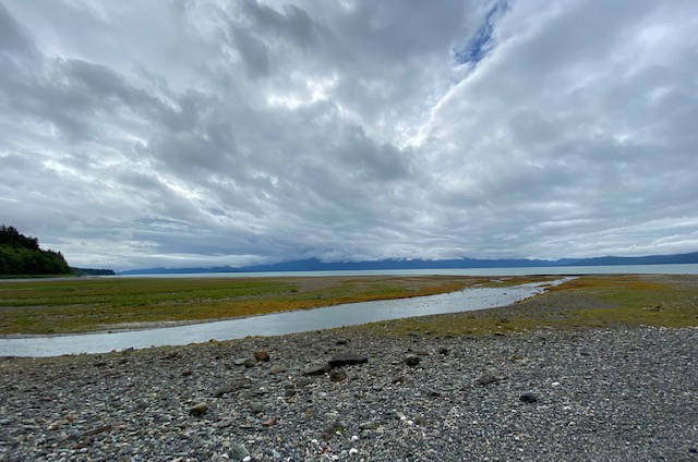 This photo shows the view across the water from the Middle Creek estuary, July 24, 2020. (Courtesy Photo/Denise Carroll)