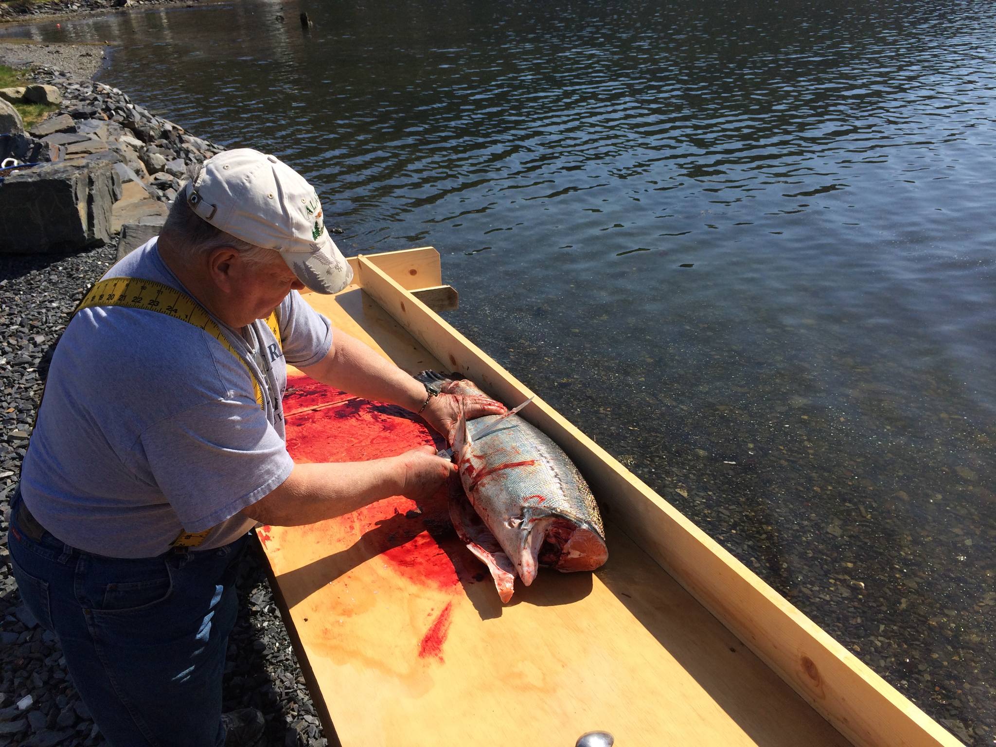 Mickey Prescott cleans king salmon at Mickey’s Fishcamp in Wrangell. (Vivian Faith Prescott | For the Capital City Weekly)