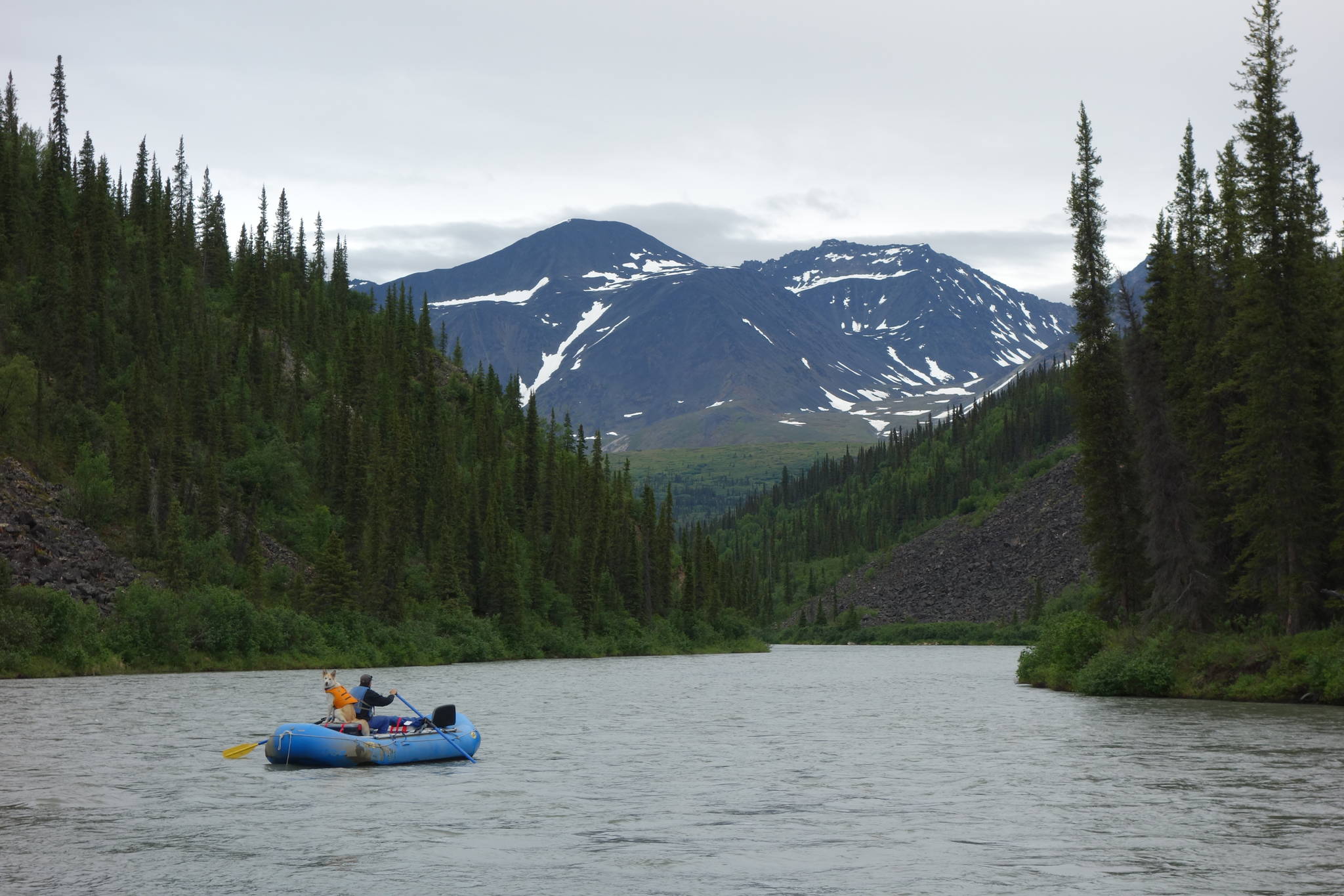 The Nenana River originates near here, north of the Alaska Range, and flows through the mountains south of the range. (Courtesy Photo | Ned Rozell)