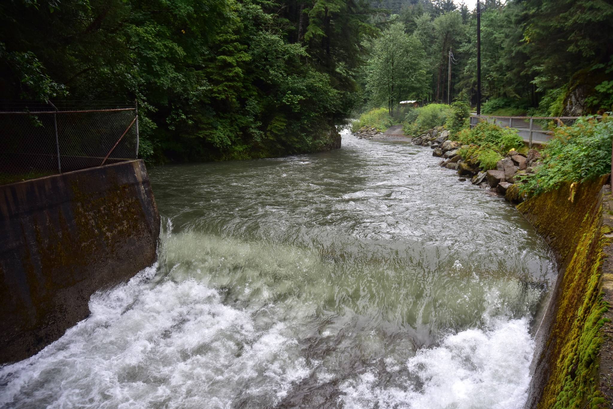 Peter Segall / Juneau Empire                                 Gold Creek in Cope Park was flowing fast Monday, July 27, 2020. The National Weather Service said more rain was expected at the weekend, but that things should clear up mid-week.