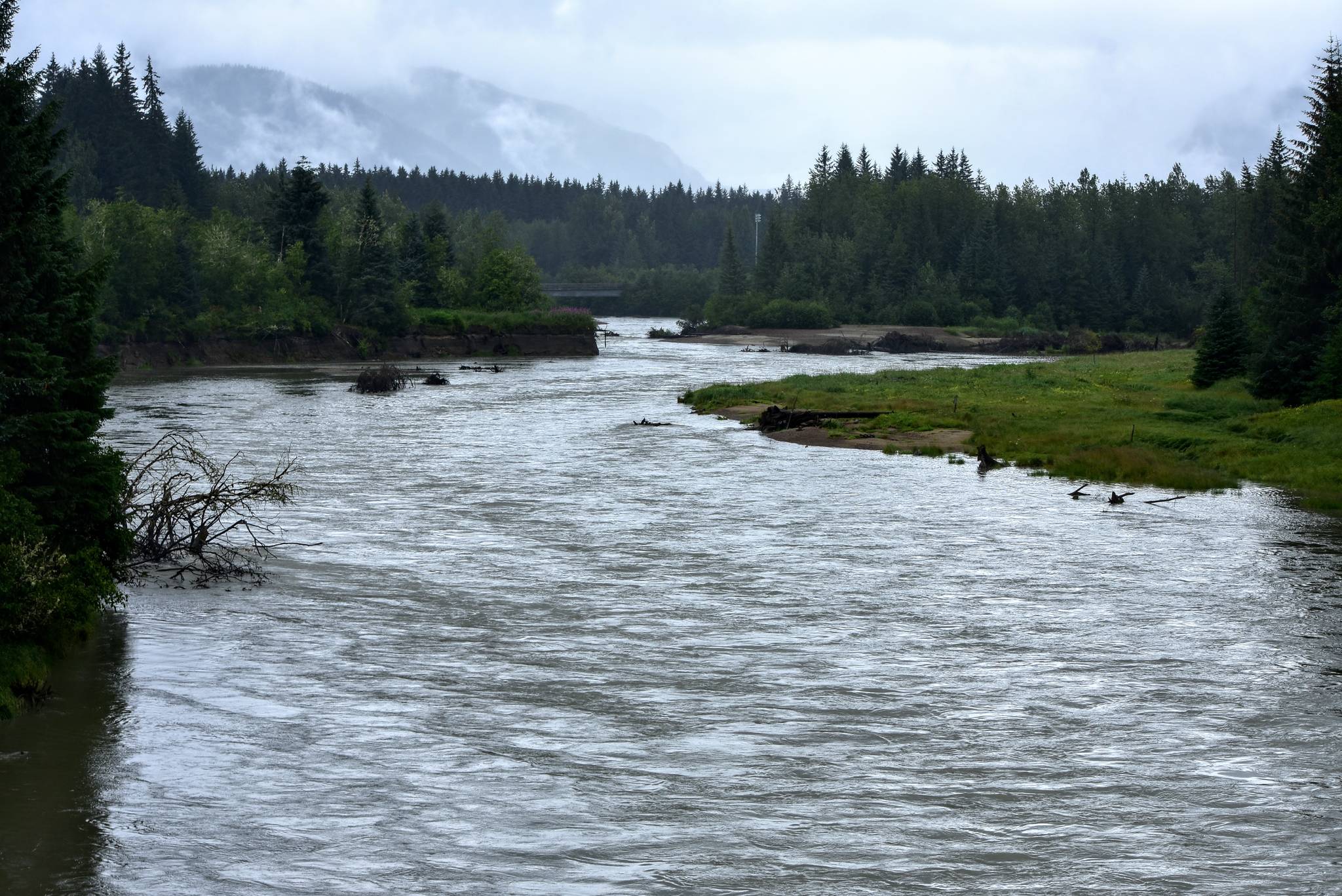 Peter Segall / Juneau Empire                                 The banks of the Mendenhall River were high on Sunday, July 26, 2020. National Weather Service is monitoring the river’s potentially dangerous water level rise.