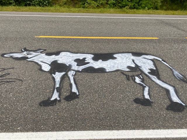 This cow painting as seen on July 24, 2020. adorns the North Douglas Highway (not Old Dairy Road). (Courtesy Photo / Denise Carroll)