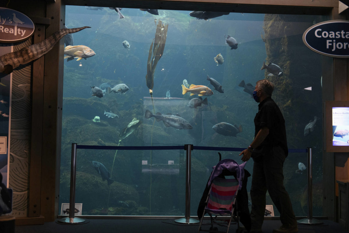 Zoos and aquariums from Alaska to Florida see fewer visitors Juneau