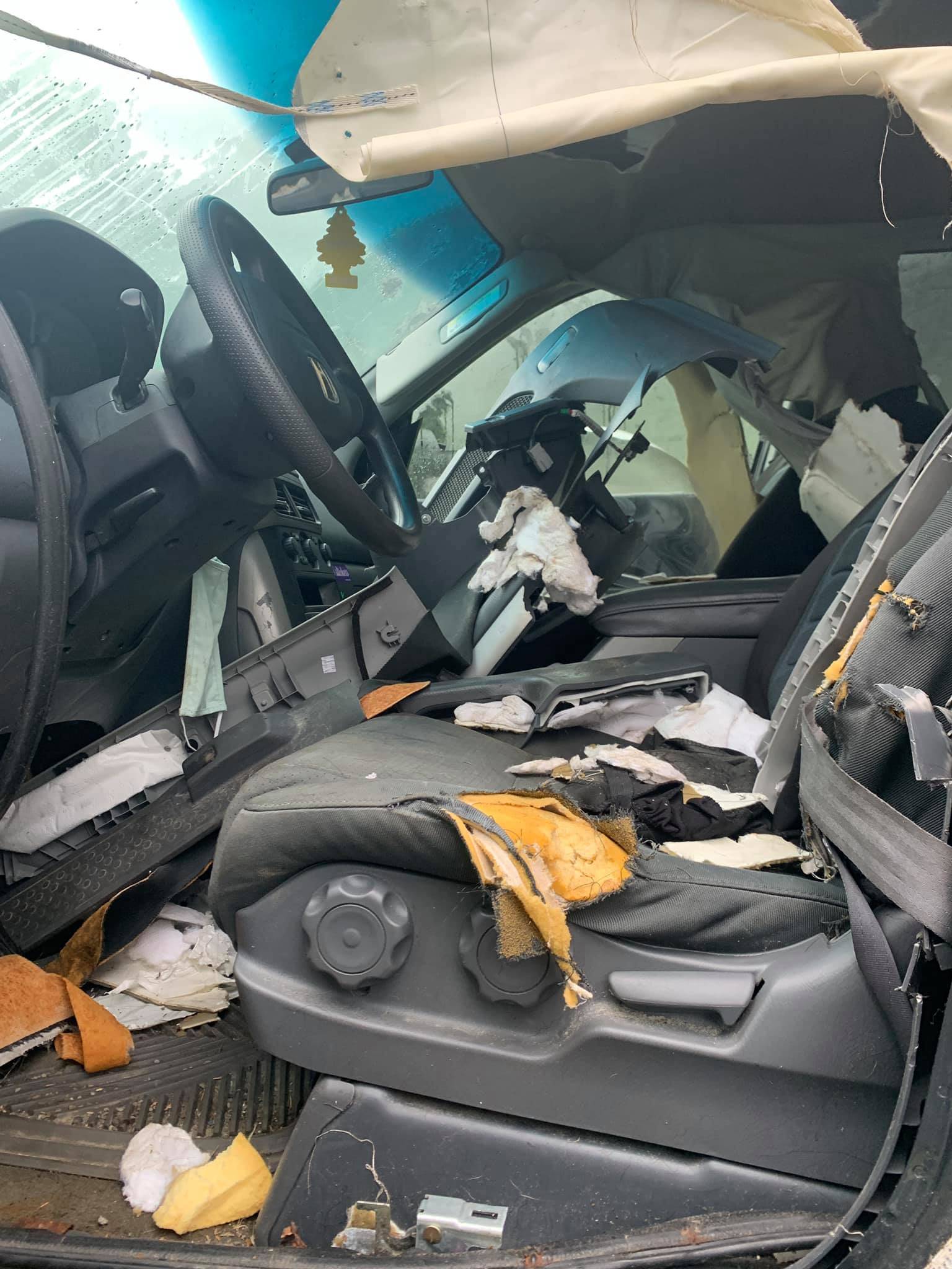 A bear broke into a pizza delivery car Friday morning, chasing the scent. (Courtesy photo / Juneau Pizza)
