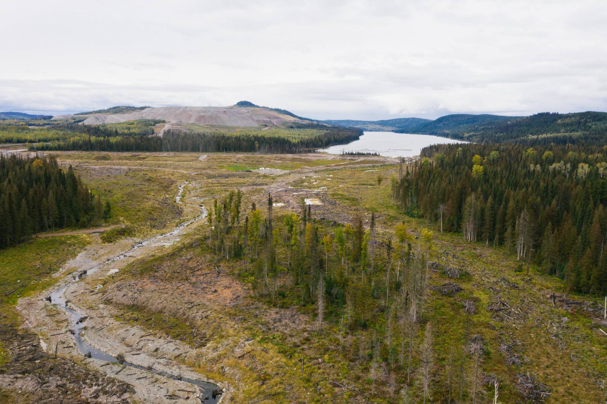 Opinion: We are poisoning our future. There’s a better way.