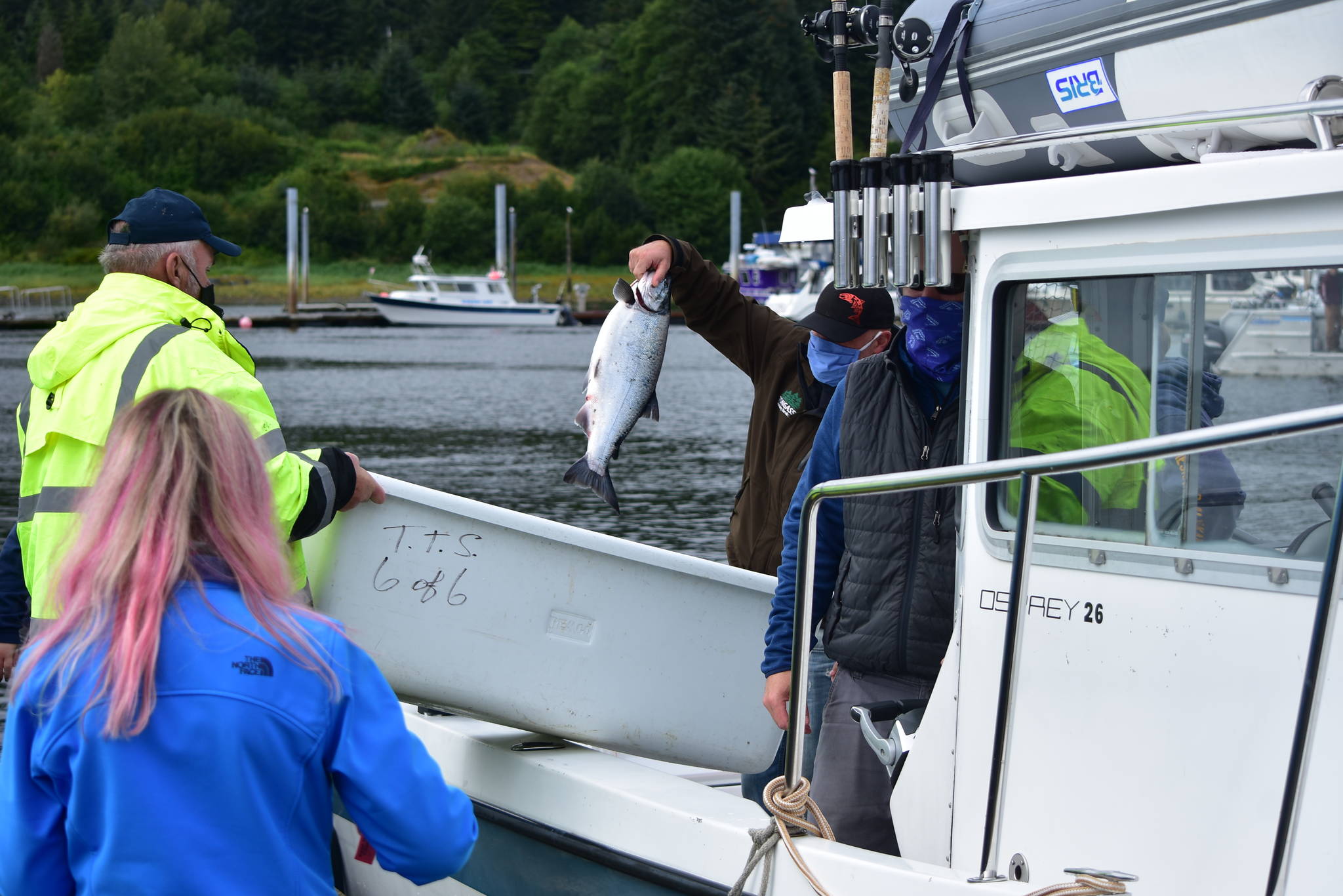 A boat drops off fish to be donated to a scholarship fund for local high school students at the Golden North Salmon Derby weigh station at Don D. Statter Harbor in Auke Bay on Sunday, Aug. 16, 2020. Volunteers for the 74th annual derby said things had been slower than usual this year. (Peter Segall / Juneau Empire)