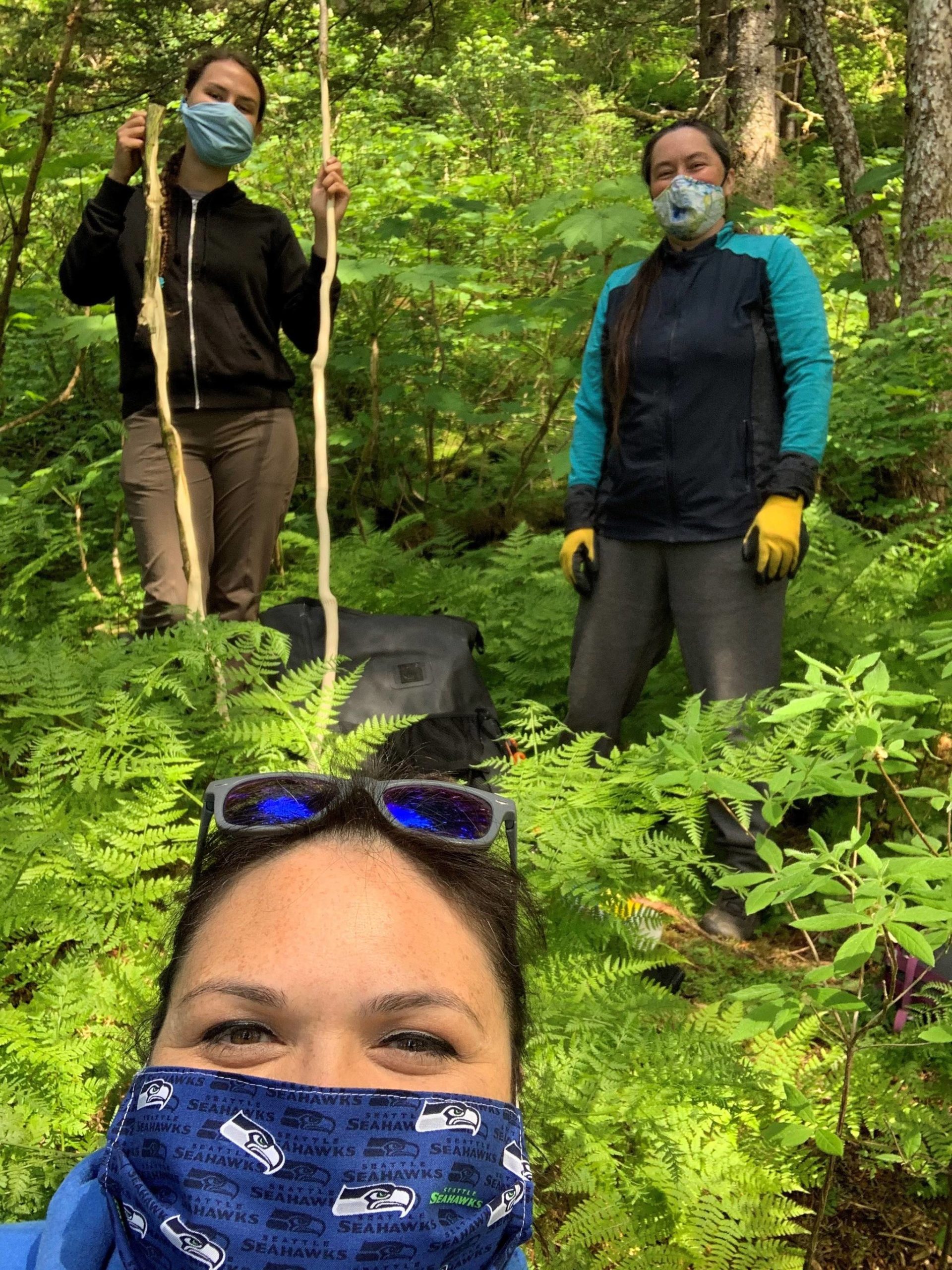 Maleah Wenzel, Heather Powell and Vivian Mork harvest devil’s club in Juneau amid a pandemic. (Courtesy Photo / Heather Powell)