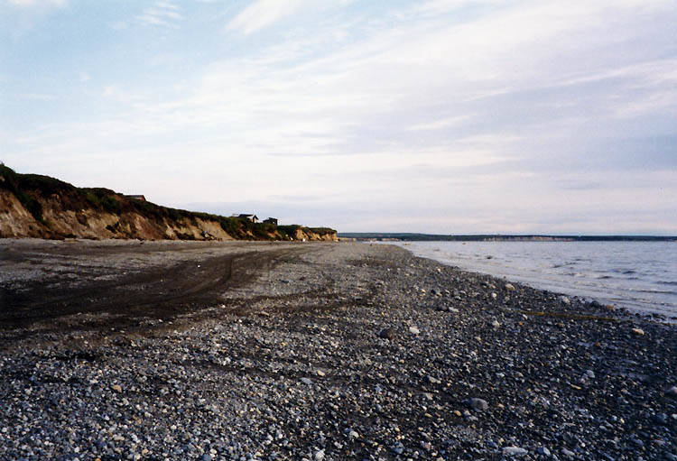 This July 1998 photo shows the Bristol Bay shoreline near Naknek. (Courtesy Photo / Stan Shebs)