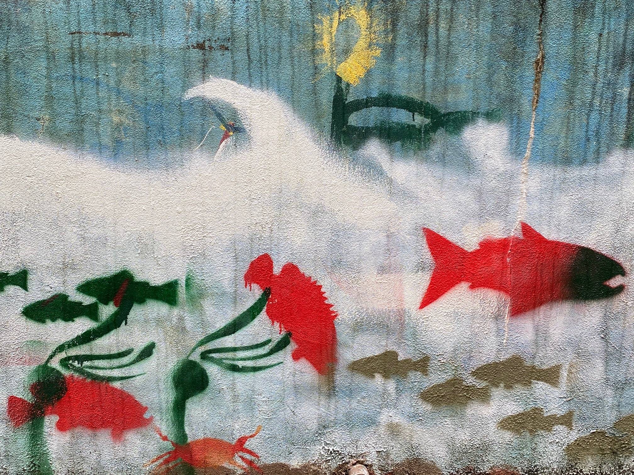 The sun shines on salmon swimming upstream as seen on a retaining wall outside the Juneau Cooperative Preschool on Aug. 12, 2020. (Courtesy Photo / Denise Carroll)