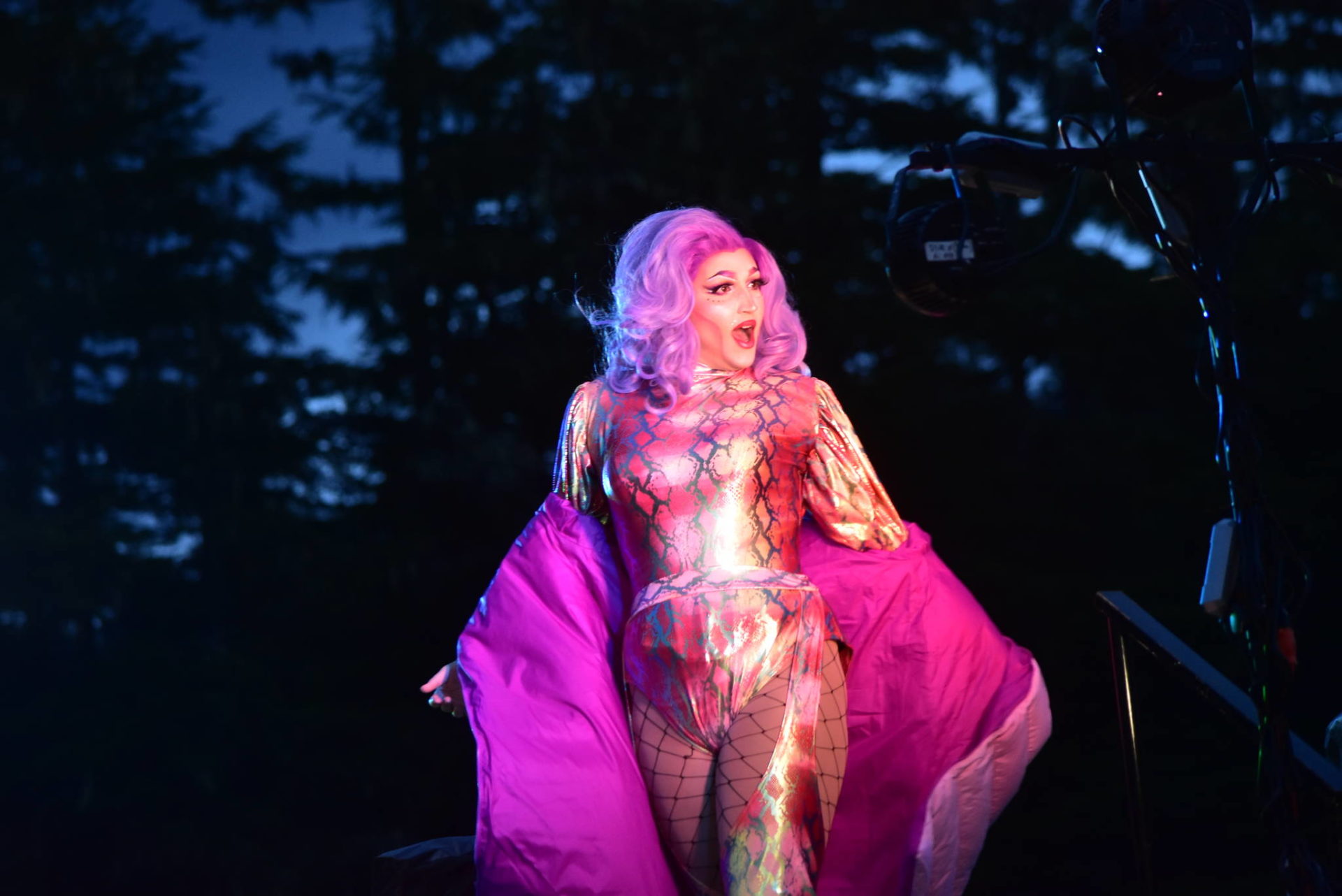 Photos See the GLITZ and glamor of this year’s drivein drag show