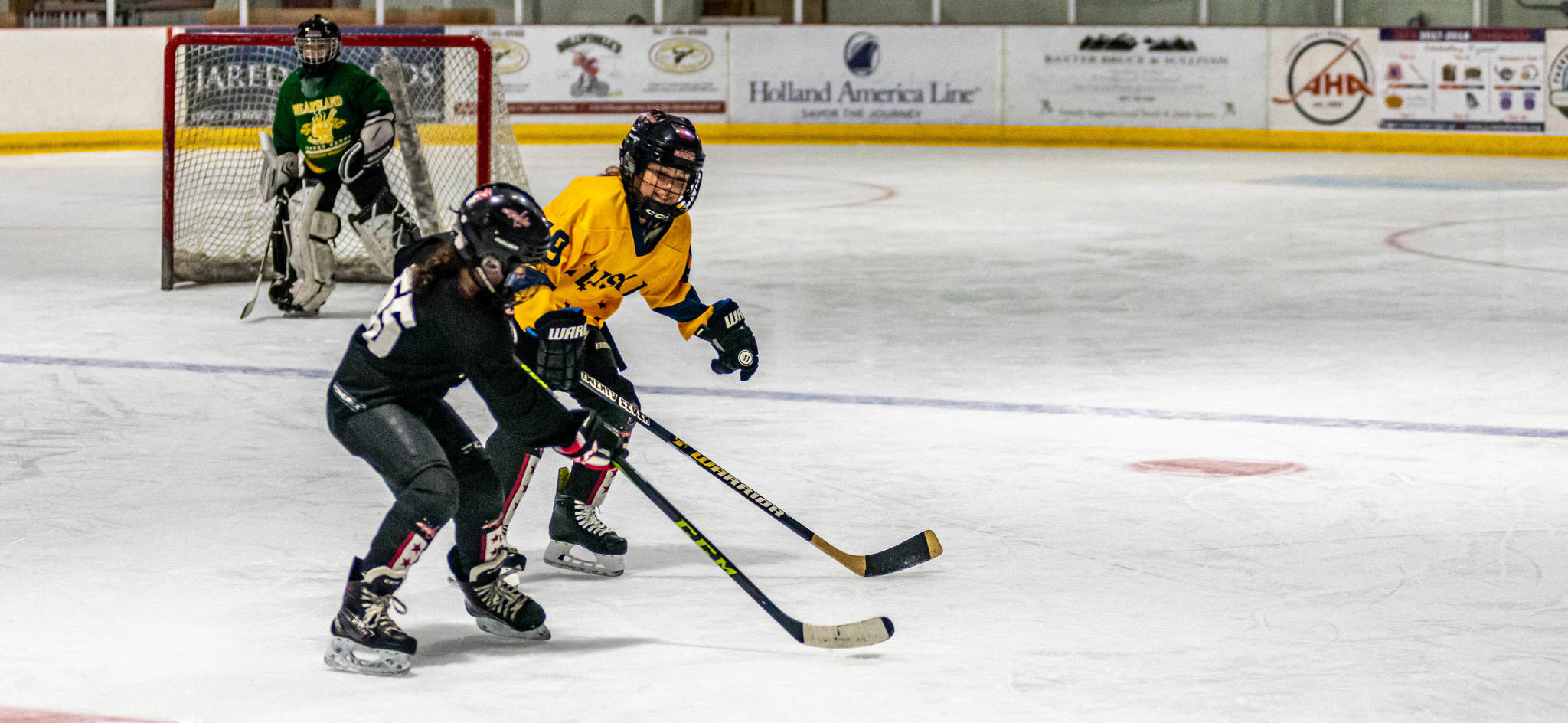 Two players competing in the 12-and-under division race toward the puck in a recent pre-season workout at Treadwell Ice Arena.