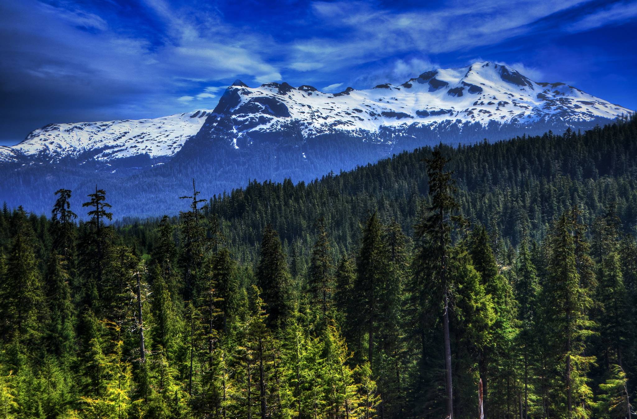 Prince of Wales Island was named as a potential site for mining during an industry panel held as part of the annual Southeast Conference meeting. Industry leaders said they believe increased mining would be good for Southeast Alaska’s economy and for the U.S. as a whole. (Courtesy Photo / Kieran MacAuliffe, Pixabay )